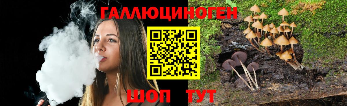 Галлюциногенные грибы Psilocybe Электросталь